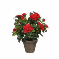 Decoratieve plant Mica Decorations 10,5 x 21,5 x 15 cm Azalea 1