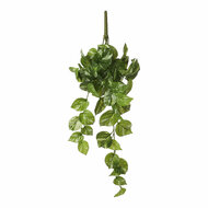 Decoratieve plant Mica Decorations Potos 14 x 58 x 20 cm Hanger 1