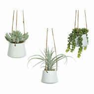 Decoratieve plant 800073 Vetplant 20 cm Om op te hangen Kunstmatig 1