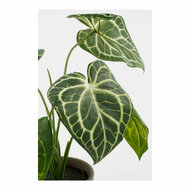 Decoratieve plant Mica Decorations Caladium &Oslash; 21 x 28 cm Kunstmatig 2