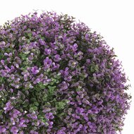 Decoratieve plant   Klot Lavendel 20 x 20 x 20 cm 2