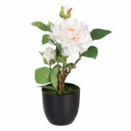 Decoratieve plant Polyester Polyethyleen Ijzer Roze 16 x 16 x 31 cm 1