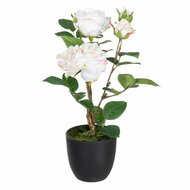 Decoratieve plant Polyester Polyethyleen Ijzer Roze 27 x 27 x 38 cm 1