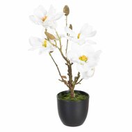 Decoratieve plant Polyester Polyethyleen Ijzer 22 x 22 x 38 cm Magnolia 1