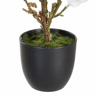 Decoratieve plant Polyester Polyethyleen Ijzer 22 x 22 x 38 cm Magnolia 3