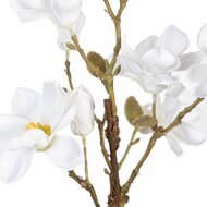 Decoratieve plant Polyester Polyethyleen Ijzer 25 x 25 x 49 cm Magnolia 2