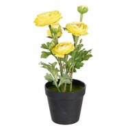 Decoratieve plant Polyester Polyethyleen Ijzer Bloem 12,5 x 12,5 x 37 cm 1