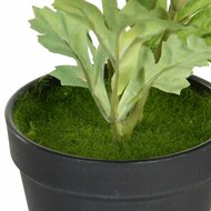 Decoratieve plant Polyester Polyethyleen Ijzer Bloem 11 x 11 x 36 cm 4