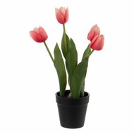 Decoratieve plant Polyester Polyethyleen Ijzer 11 x 11 x 31 cm 1