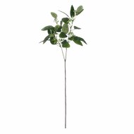 Decoratieve plant Polyester 15 x 15 x 59 cm 1