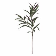 Decoratieve plant PEVA 30 X 25 X 72 CM 1