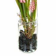 Decoratieve plant Polyester Polyethyleen Ijzer 7 x 7 x 18 cm 2