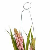 Decoratieve plant Polyester Polyethyleen Ijzer 7 x 7 x 18 cm 4