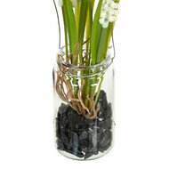 Decoratieve plant Polyester Polyethyleen Ijzer 7 x 7 x 18 cm 2