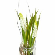 Decoratieve plant Polyester Polyethyleen Ijzer 7 x 7 x 18 cm 3