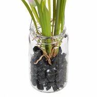 Decoratieve plant Polyester Polyethyleen Ijzer 7 x 7 x 18 cm 4