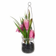 Decoratieve plant Polyester Polyethyleen Ijzer 7 x 7 x 20 cm 1