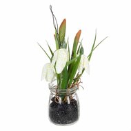 Decoratieve plant Polyester Polyethyleen Ijzer 7 x 7 x 20 cm 1