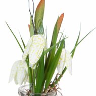 Decoratieve plant Polyester Polyethyleen Ijzer 7 x 7 x 20 cm 3