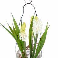 Decoratieve plant Polyester Polyethyleen Ijzer 5,5 X 5,5 X 21 CM 2