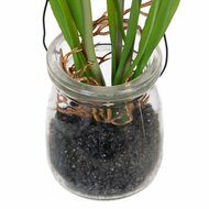 Decoratieve plant Polyester Polyethyleen Ijzer 5,5 X 5,5 X 21 CM 3