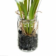 Decoratieve plant Polyester Polyethyleen Ijzer 7 x 7 x 24 cm 2