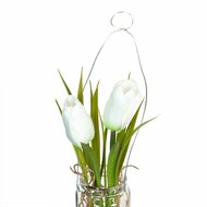 Decoratieve plant Polyester Polyethyleen Ijzer 7 x 7 x 24 cm 3