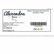 Wereldbol Alexandra House Living Aluminium 12 x 24 x 12 cm 7