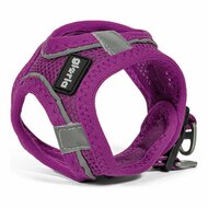 Hondentuigje Gloria Air Mesh Trek Star Verstelbaar Paars Maat XXXS (18-20 cm) 4