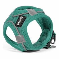 Hondentuigje Gloria Air Mesh Trek Star Verstelbaar Turkoois Maat XXXS (18-20 cm) 4