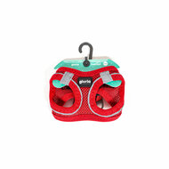 Hondentuigje Gloria Trek Star 24-26 cm 28-28,6 cm Rood XXS 2