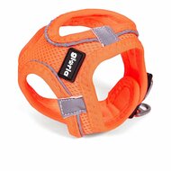 Hondentuigje Gloria Air Mesh Trek Star Verstelbaar Oranje Maat XXXS (18-20 cm) 1