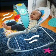 Baby wipstoel Baby Einstein Ocean Explorers Kick to It Opus Musical 4