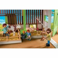 Speelset Playmobil Country Plastic 6