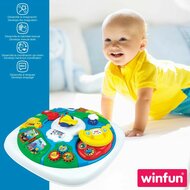 Activity Center Winfun 2 Stuks 47 x 41 x 47 cm 5