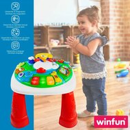 Activity Center Winfun 2 Stuks 47 x 41 x 47 cm 6