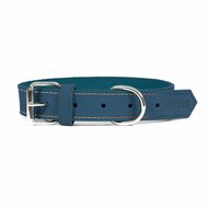 Hondenhalsband Gloria Oasis Blauw (1,2 x 35 cm) 1