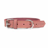 Hondenhalsband Gloria Oasis Roze (1,2 x 35 cm) 1