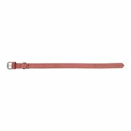 Hondenhalsband Gloria Oasis Roze (1,2 x 35 cm) 5