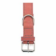 Hondenhalsband Gloria Oasis Roze (1,2 x 35 cm) 6