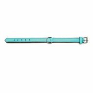 Hondenhalsband Gloria Gestoffeerd Turquoise 45 cm (45 x 2 cm) 7