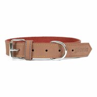 Hondenhalsband Gloria Oasis Bruin (40 x 1,5 cm) 1