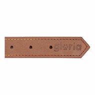 Hondenhalsband Gloria Oasis Bruin (40 x 1,5 cm) 6