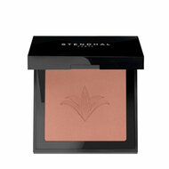 Oogschaduw Stendhal Highlighter N&ordm; 302 (5,5 g) 1