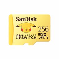 SD Geheugenkaart SanDisk SDSQXAO-256G-GN6ZK 1