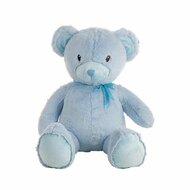 Knuffelbeer Blauw 55 cm 1