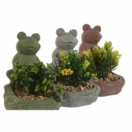 Decoratieve plant Home ESPRIT Polyethyleen Cement Kikker 9 x 9 x 13 cm (3 Stuks) 2