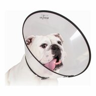 Lampenkap voor honden KVP Saf-T-Clear Transparant (25-38 cm) 1