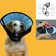 Lampenkap voor honden KVP Calmer Multicolour (15-23 cm) 2