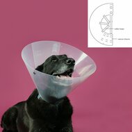 Lampenkap voor honden KVP Betsy Transparant (39-48 cm) 2